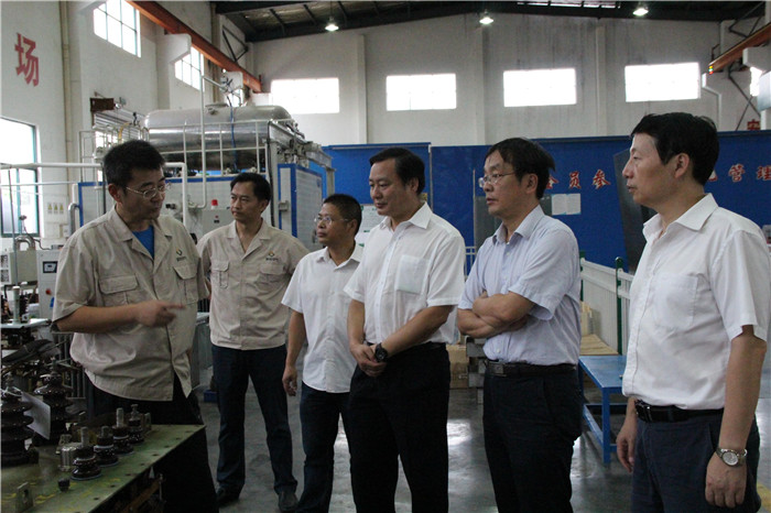 國網(wǎng)湖北省電力公司運檢主任一行到紫電公司檢查工作 國網(wǎng)湖北省電力公司運檢主任一行到紫電公司檢查工作