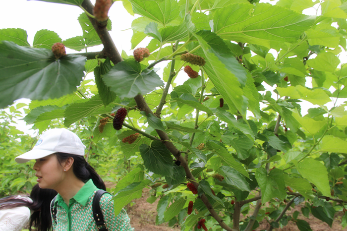 紫電公司開展戶外活動  慶?！拔逅摹鼻嗄旯?jié)