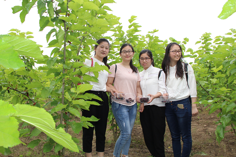 紫電公司開展戶外活動  慶?！拔逅摹鼻嗄旯?jié)