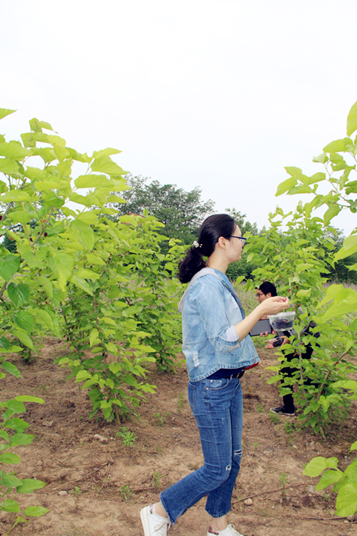 紫電公司開展戶外活動  慶?！拔逅摹鼻嗄旯?jié)